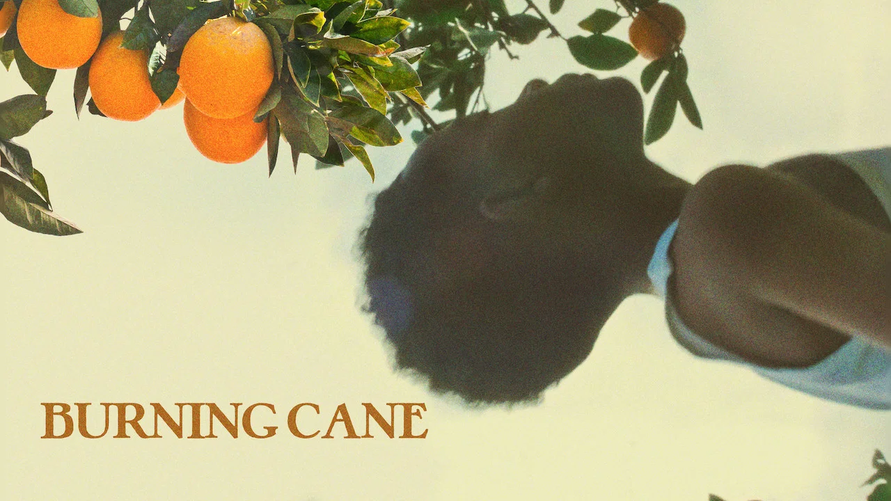 Burning Cane - 剧照
