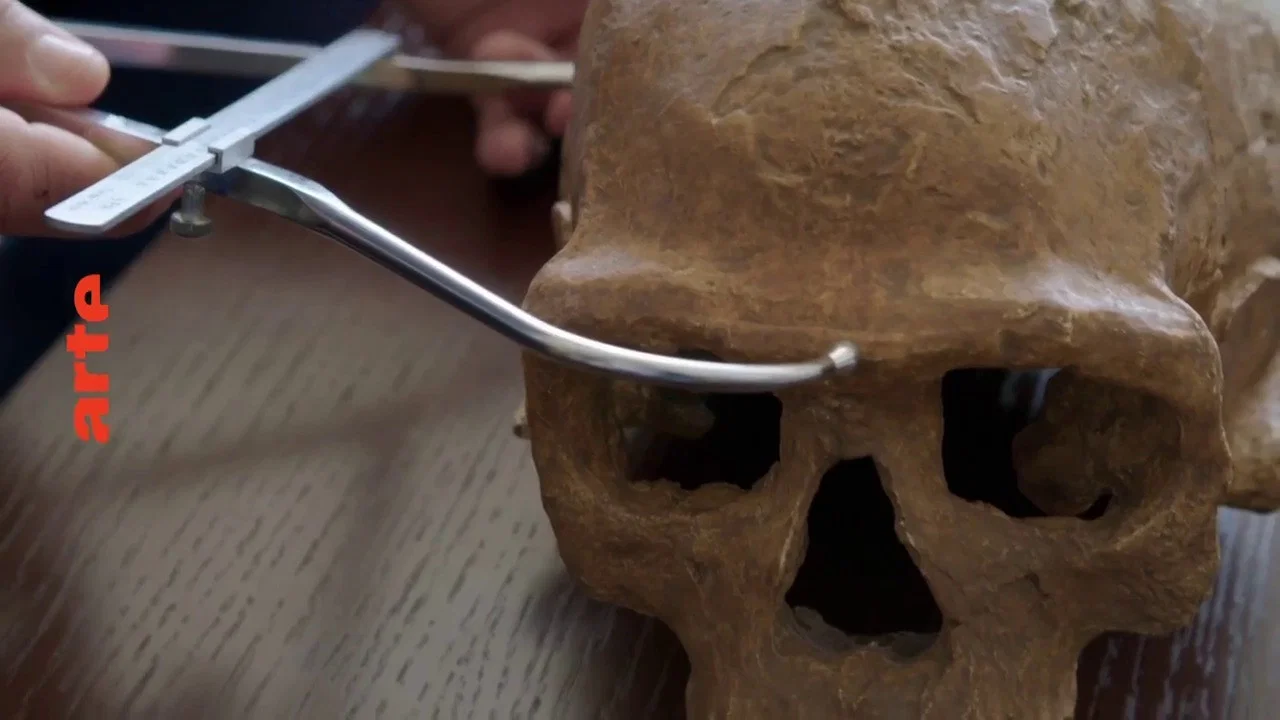 Homo sapiens, les nouvelles origines - 剧照
