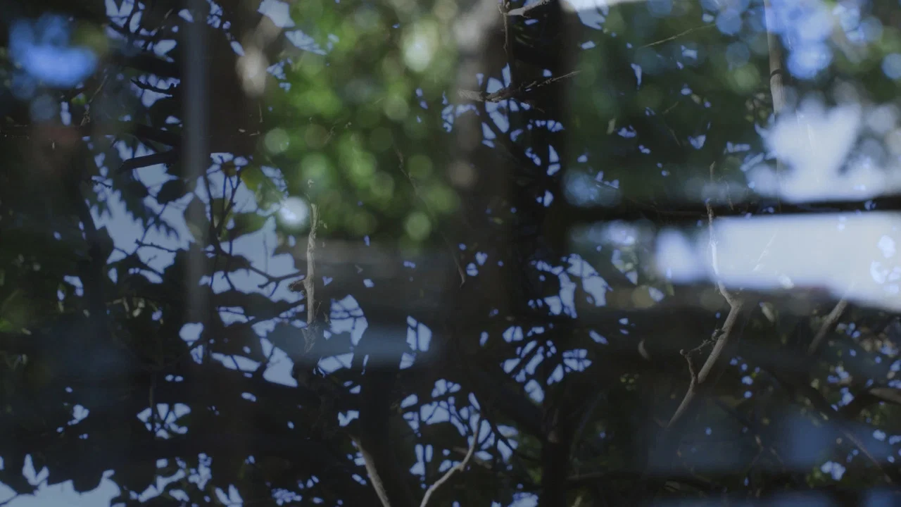 Lo Que Queda en la Tierra - 剧照