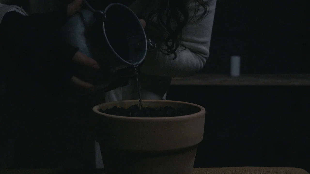 BLOOM - A Dystopian Short Film - 剧照