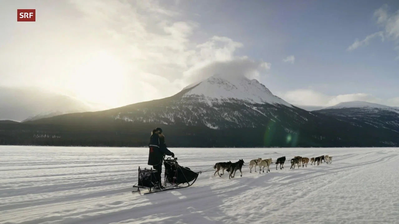 Musher, l'appel de l'Alaska - 剧照