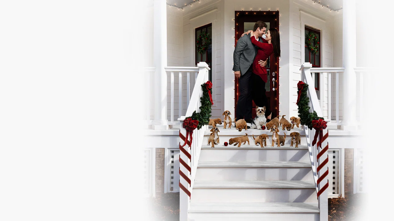 12 Pups of Christmas - 剧照