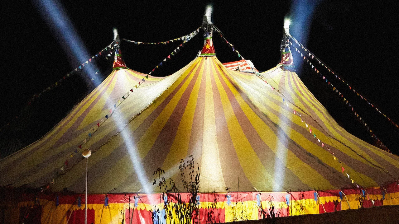 The Circus - 剧照