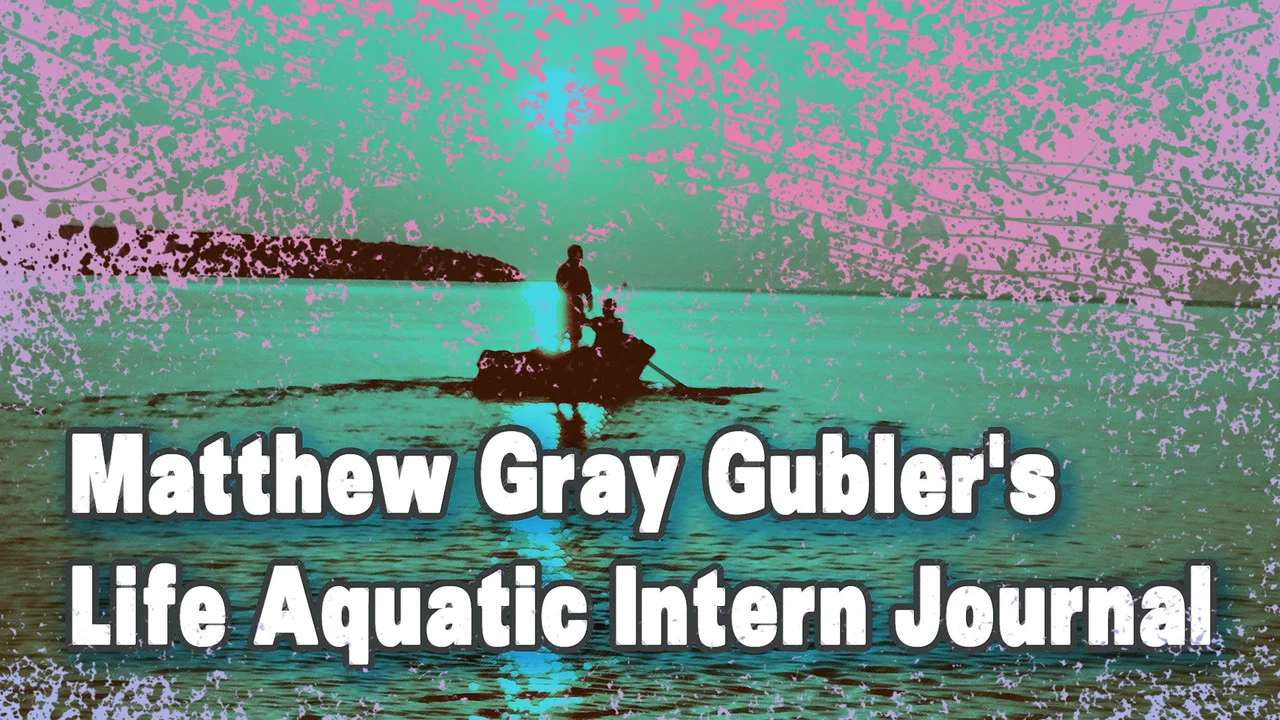 Matthew Gray Gubler's Life Aquatic Intern Journal - 剧照