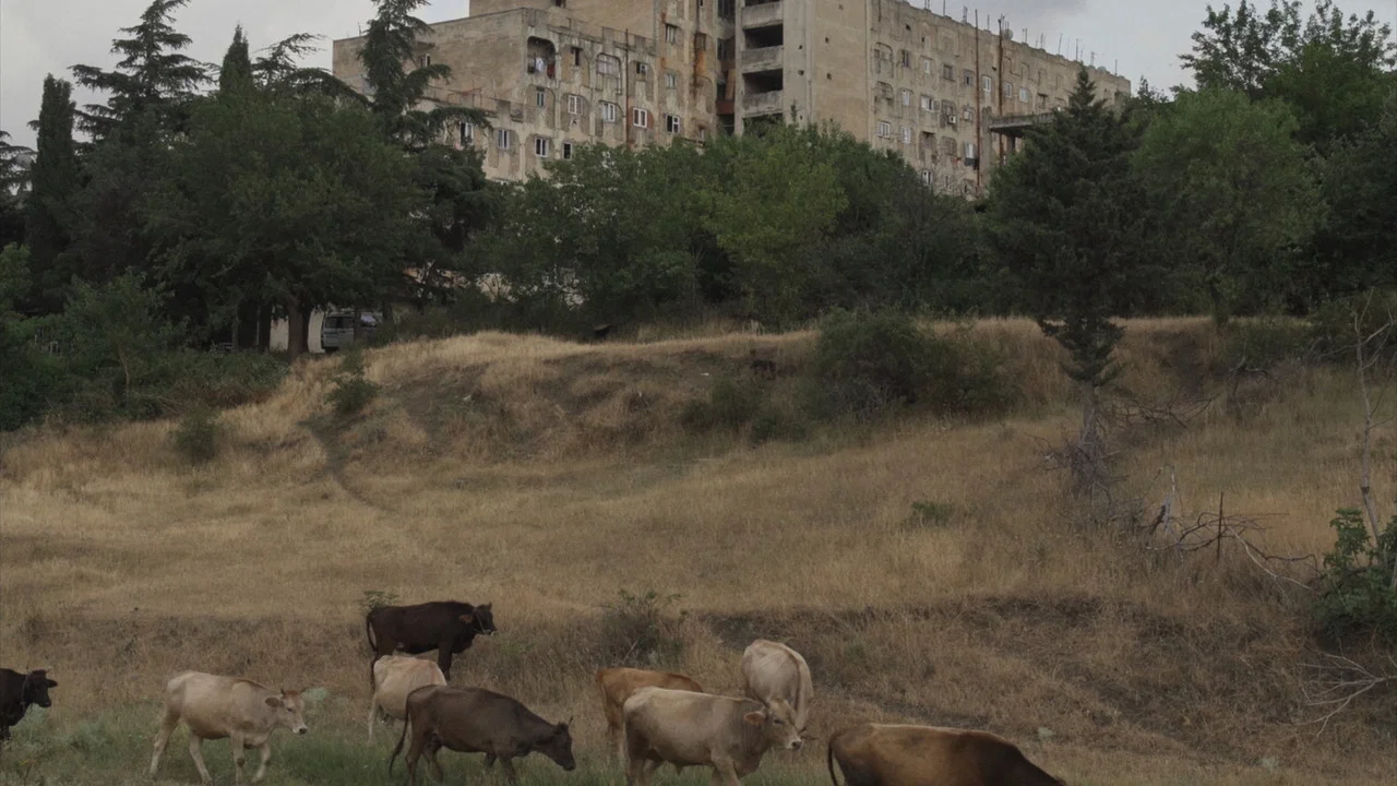 ქართლის ცხოვრება - 剧照