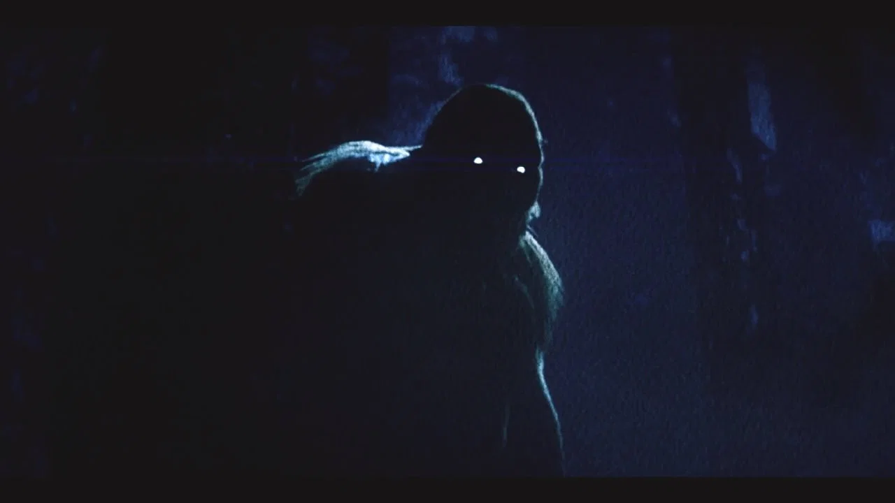 On the Trail of Bigfoot:  Land of the Missing - 剧照