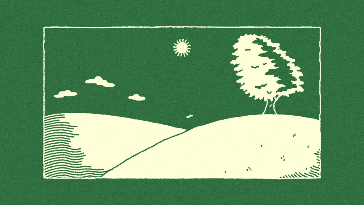 The Sycamore - 剧照