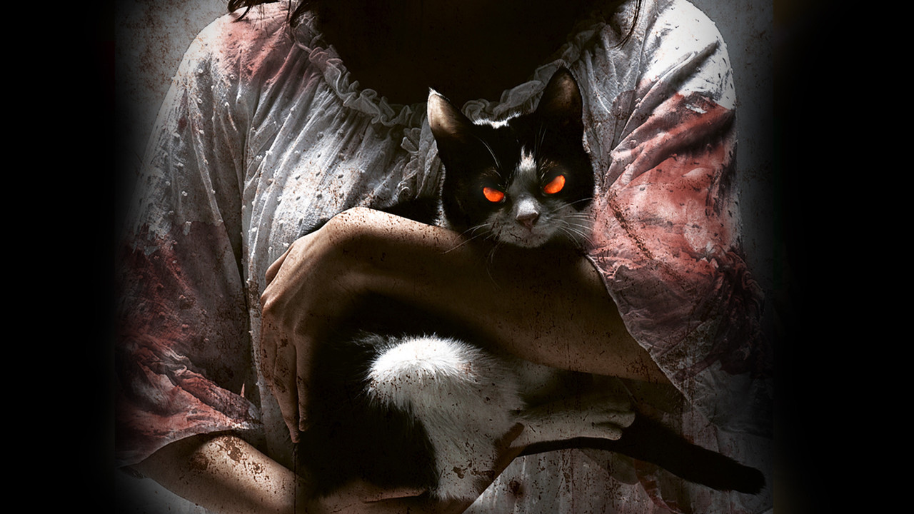 猫：看见死亡的双眼 - 剧照