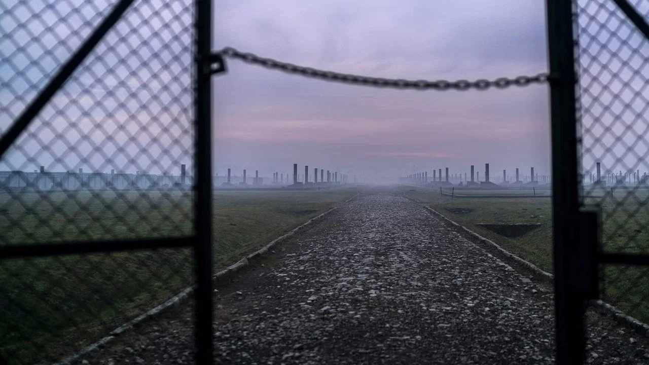 Auschwitz: Countdown To Liberation - 剧照