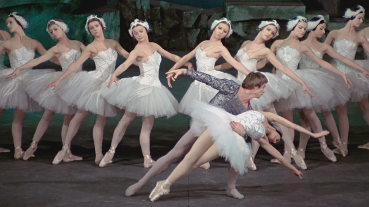 Swan Lake - 剧照