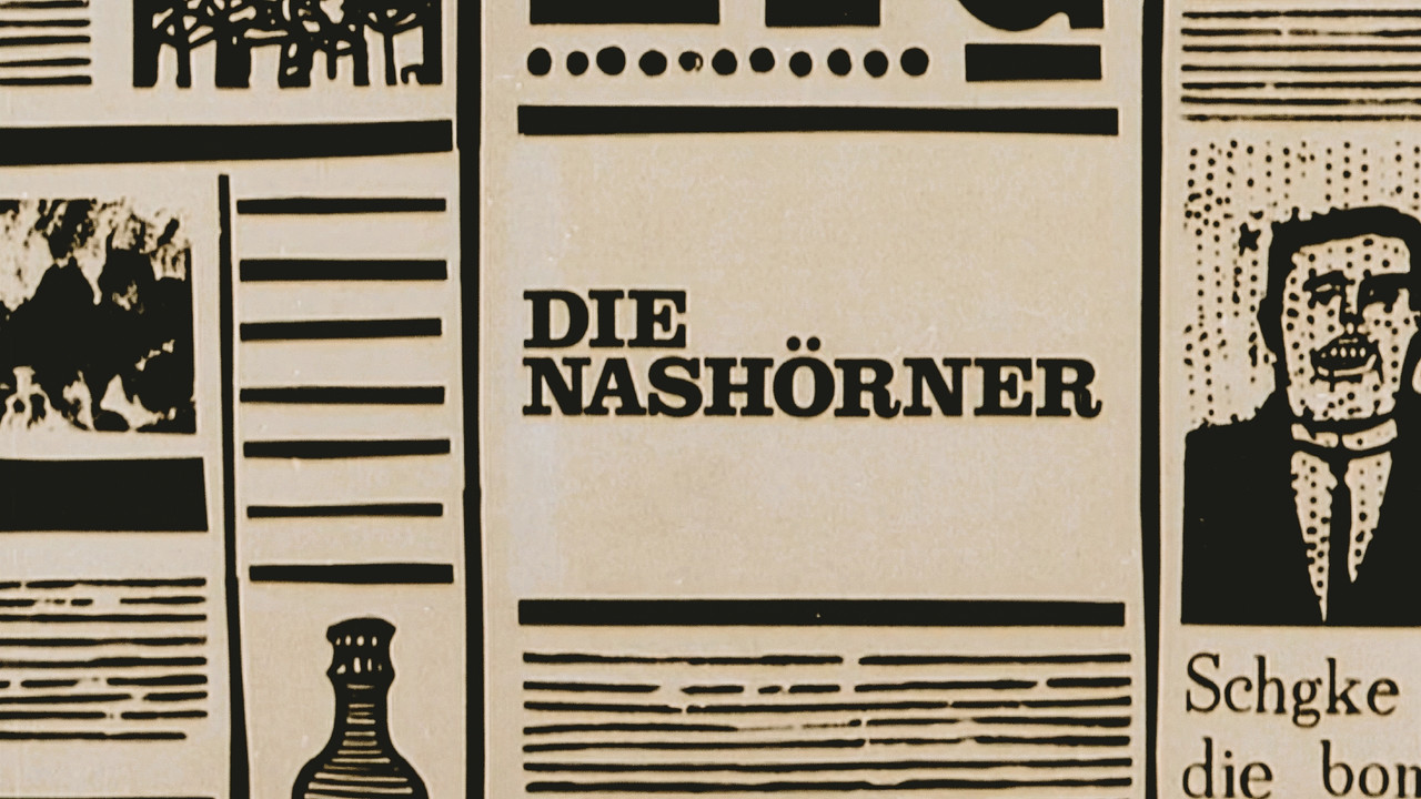 Die Nash&ouml;rner - 剧照