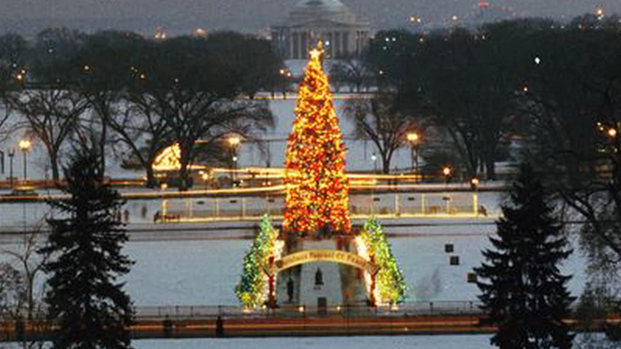 The National Christmas Tree, A Century of Celebration - 剧照
