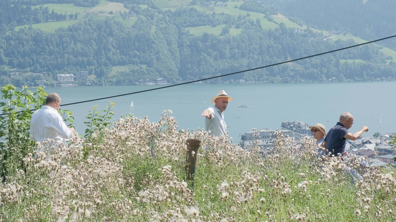 Point of Origin - Building a house in Austria - 剧照