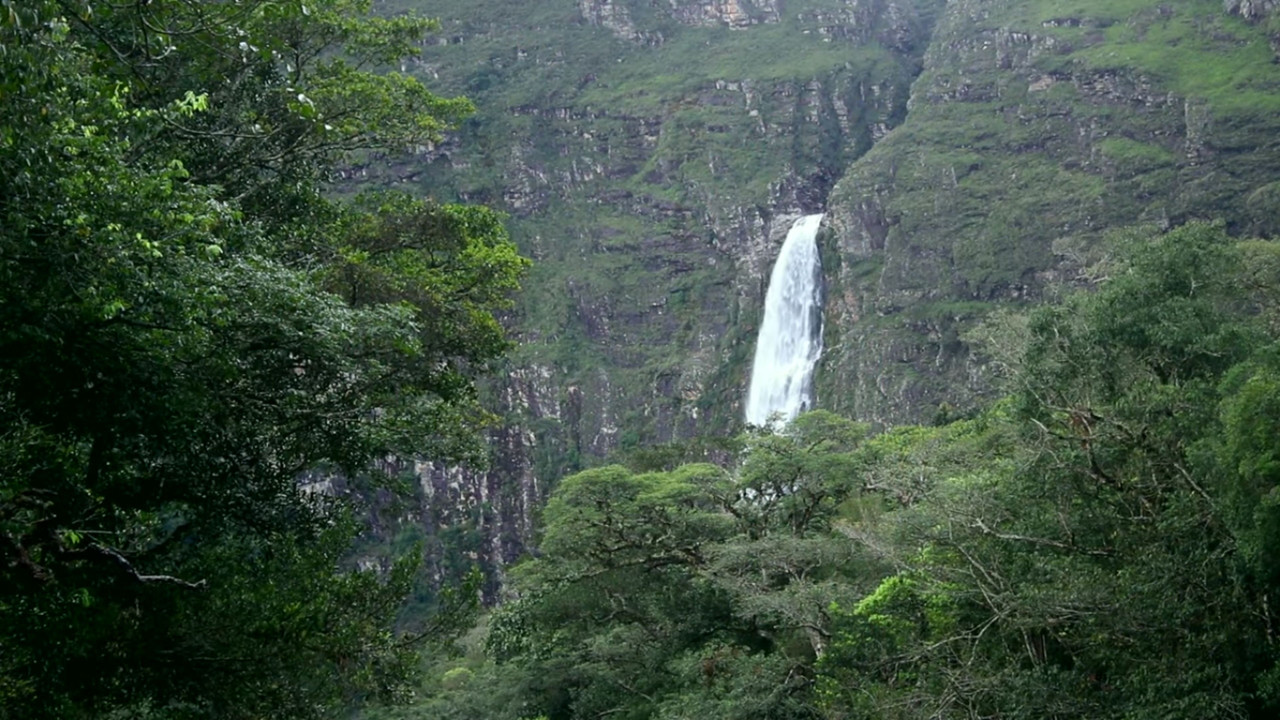 Os Naturalistas: Saint-Hilaire e a Serra da Canastra - 剧照