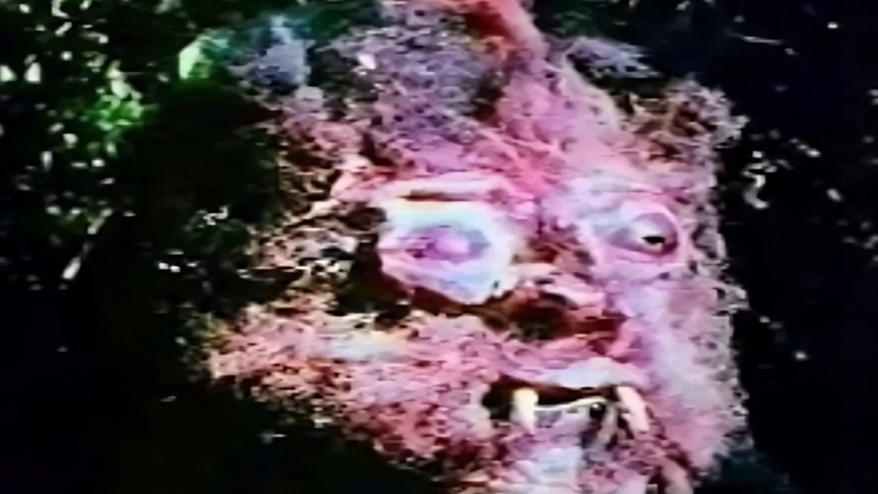 Curse of Bigfoot - 剧照