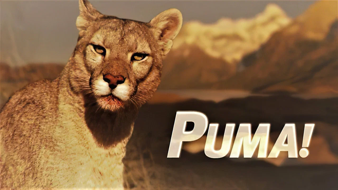 Puma! - 剧照