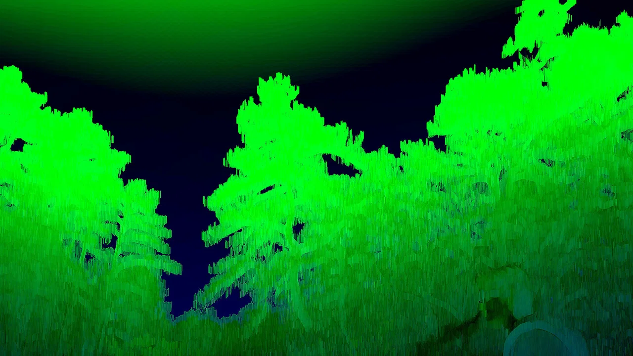 bird5.mp4 - 剧照