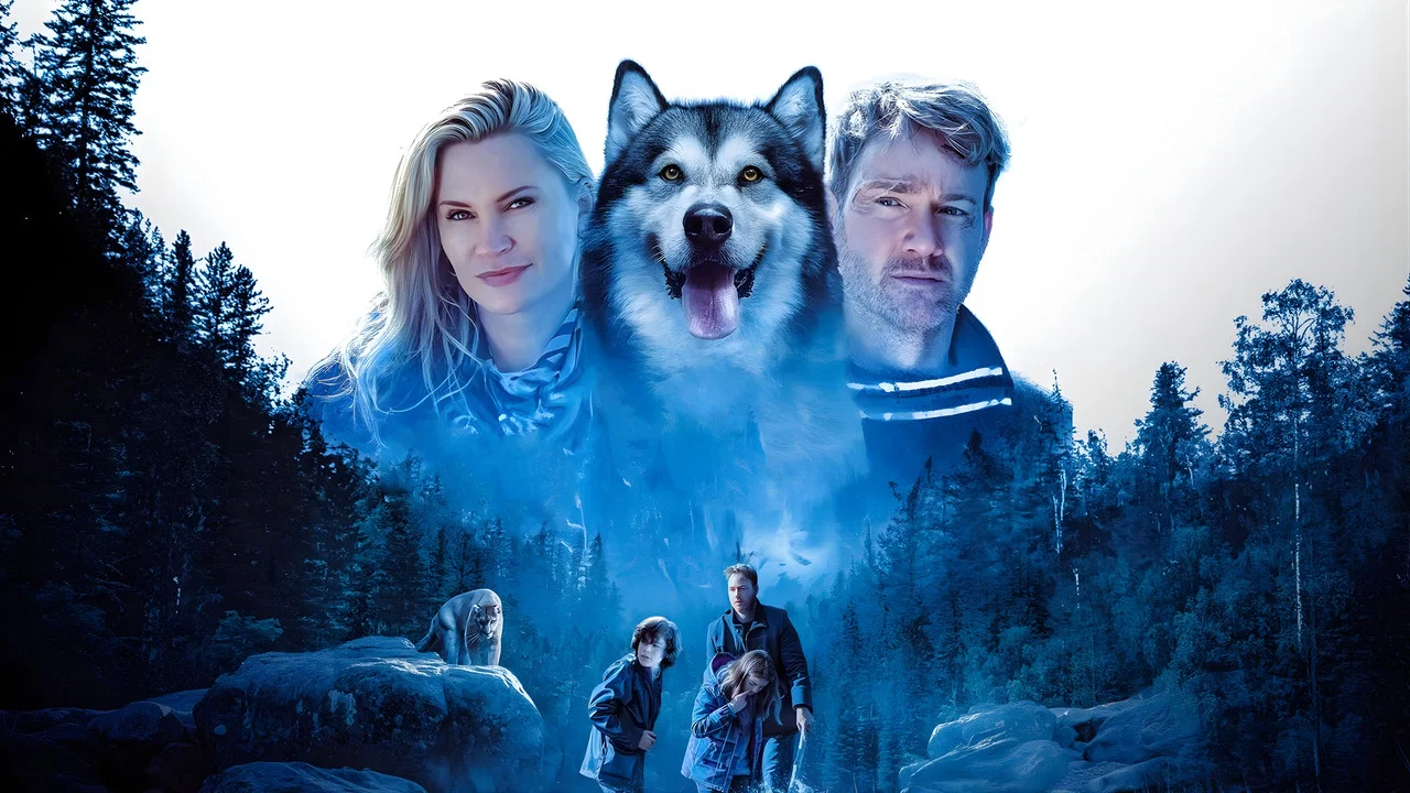 Hero Dog: The Journey Home - 剧照
