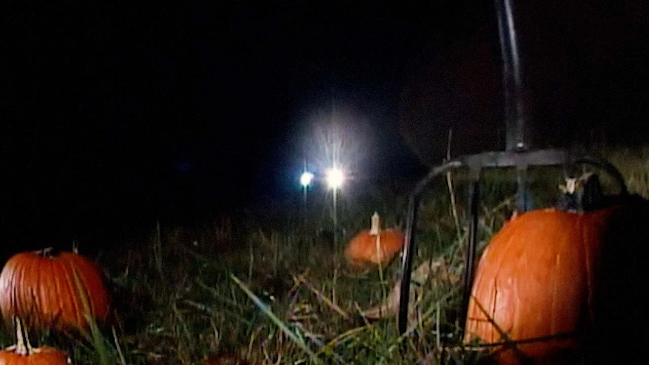 Revenge of the Great Pumpkin - 剧照