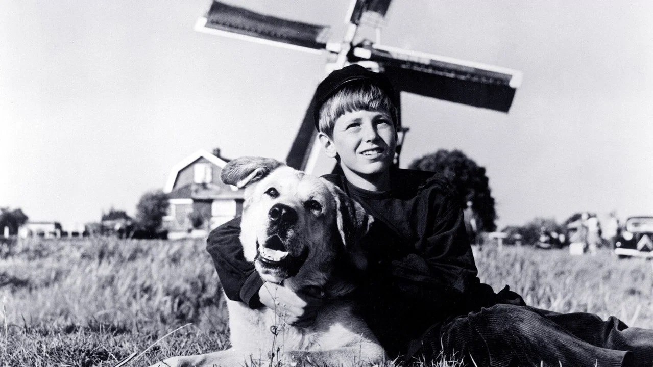 A Dog of Flanders - 剧照