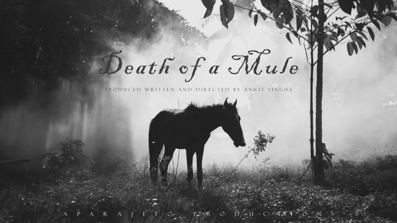 Death of a Mule - 剧照