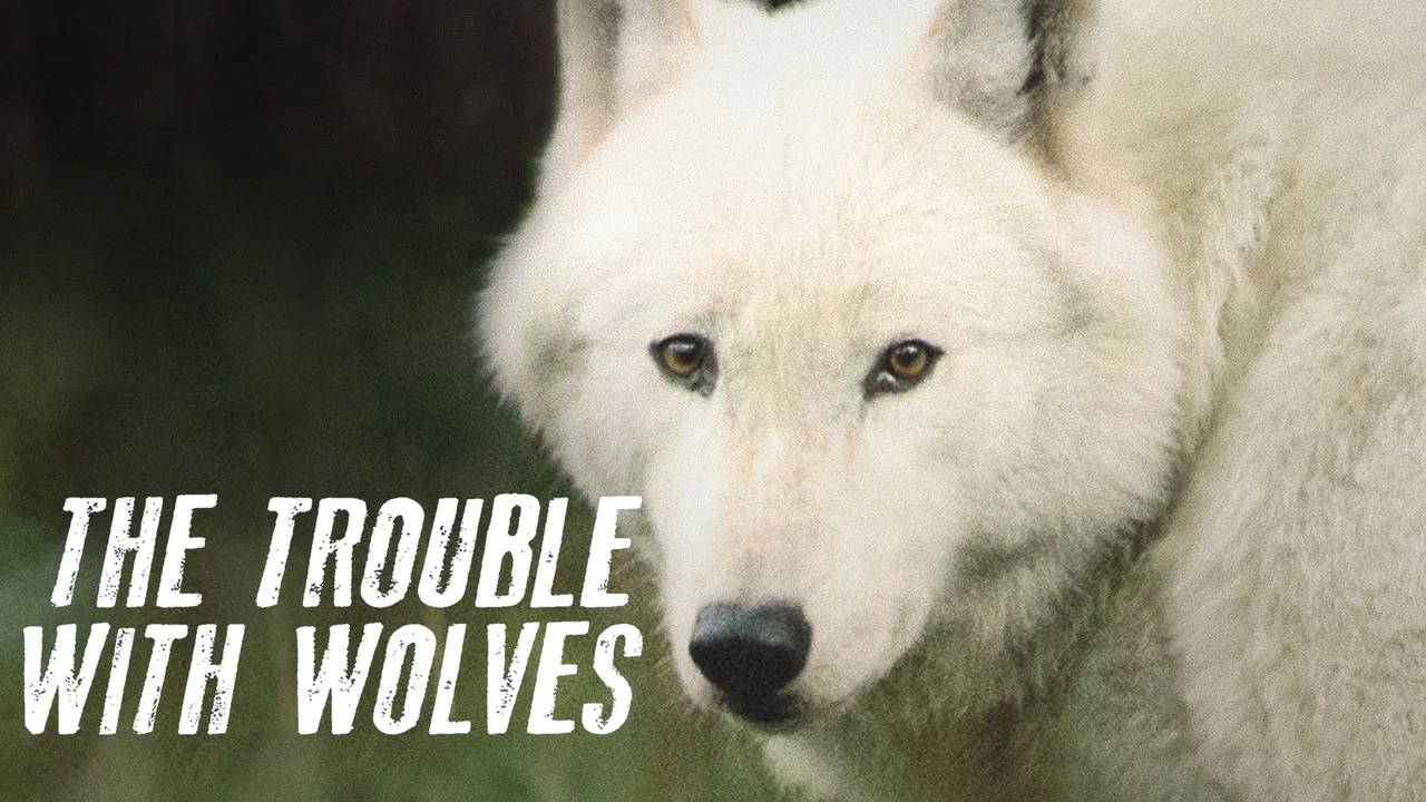 The Trouble with Wolves - 剧照