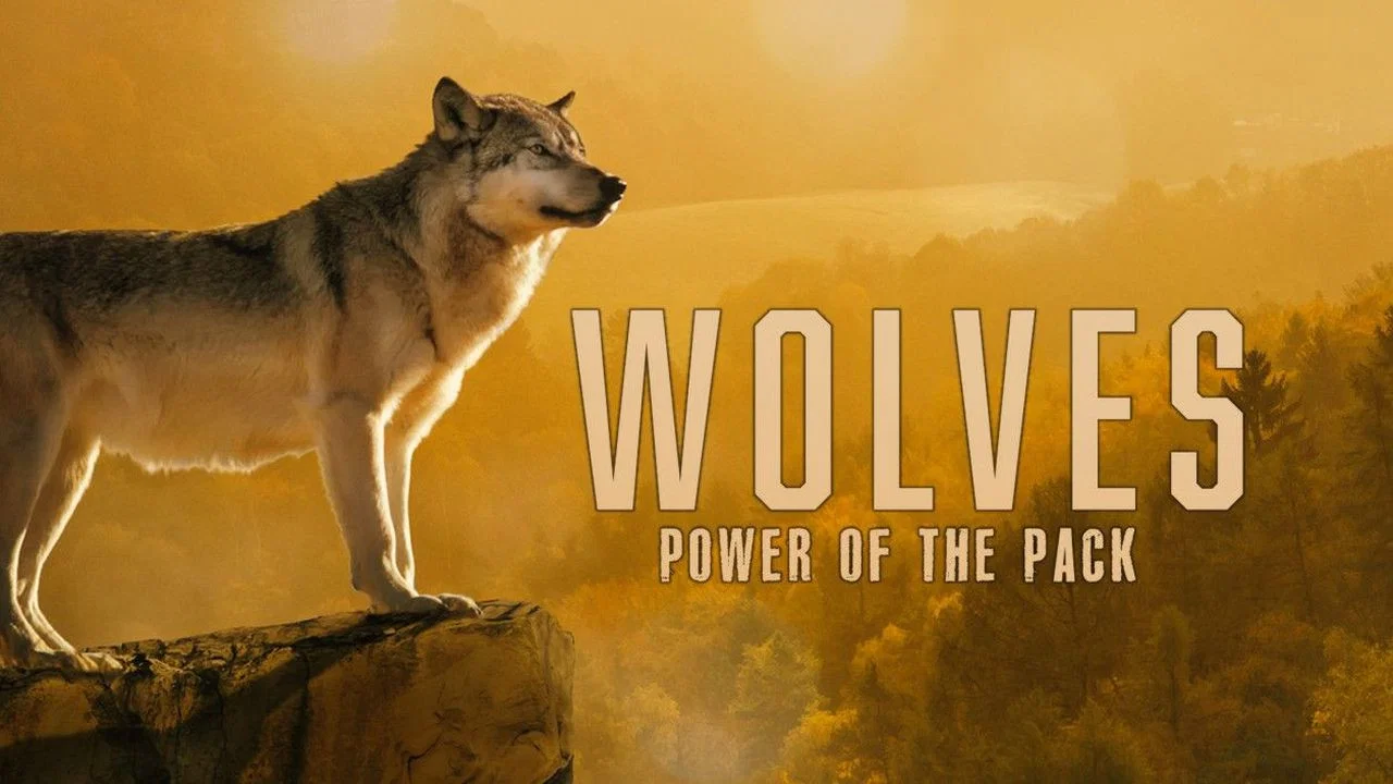 Wolves: Power of the Pack - 剧照