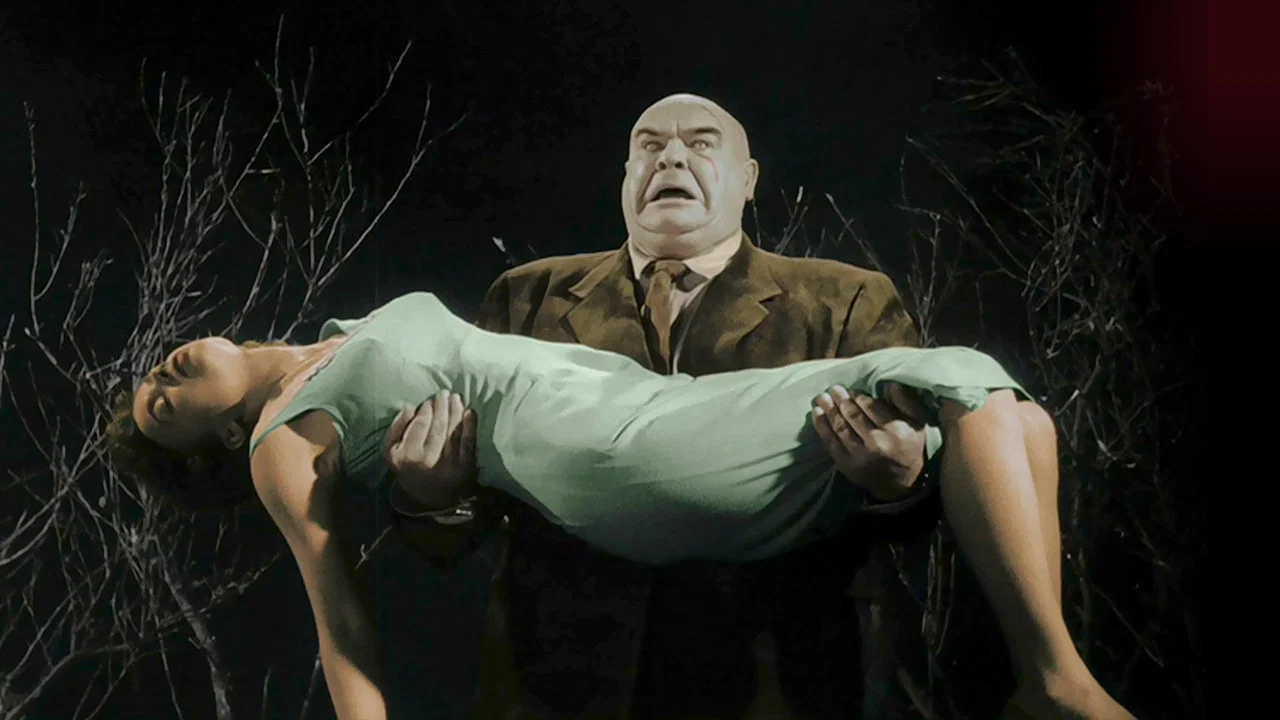 Flying Saucers Over Hollywood: The 'Plan 9' Companion - 剧照