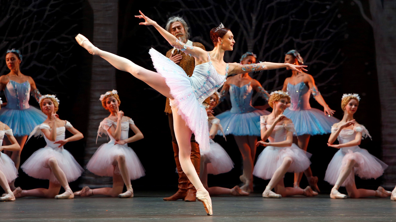 Bolshoi Ballet: Don Quixote - 剧照