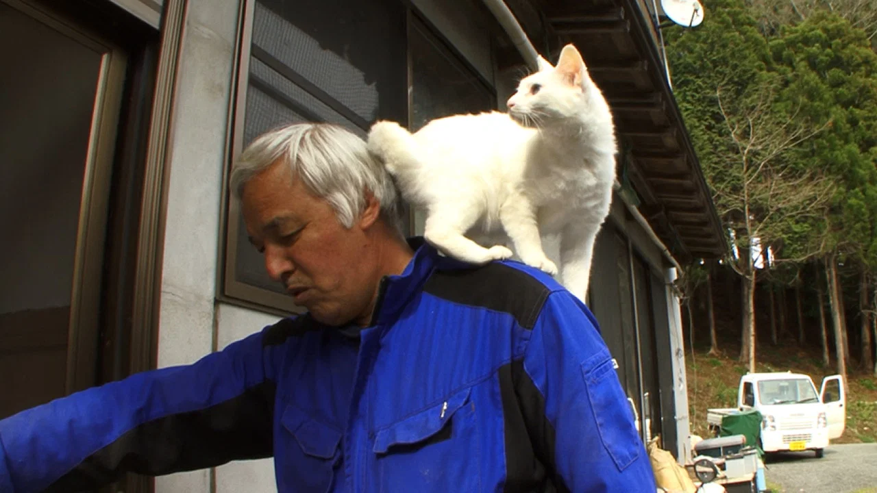 劇場版 ナオト、いまもひとりっきり - 剧照