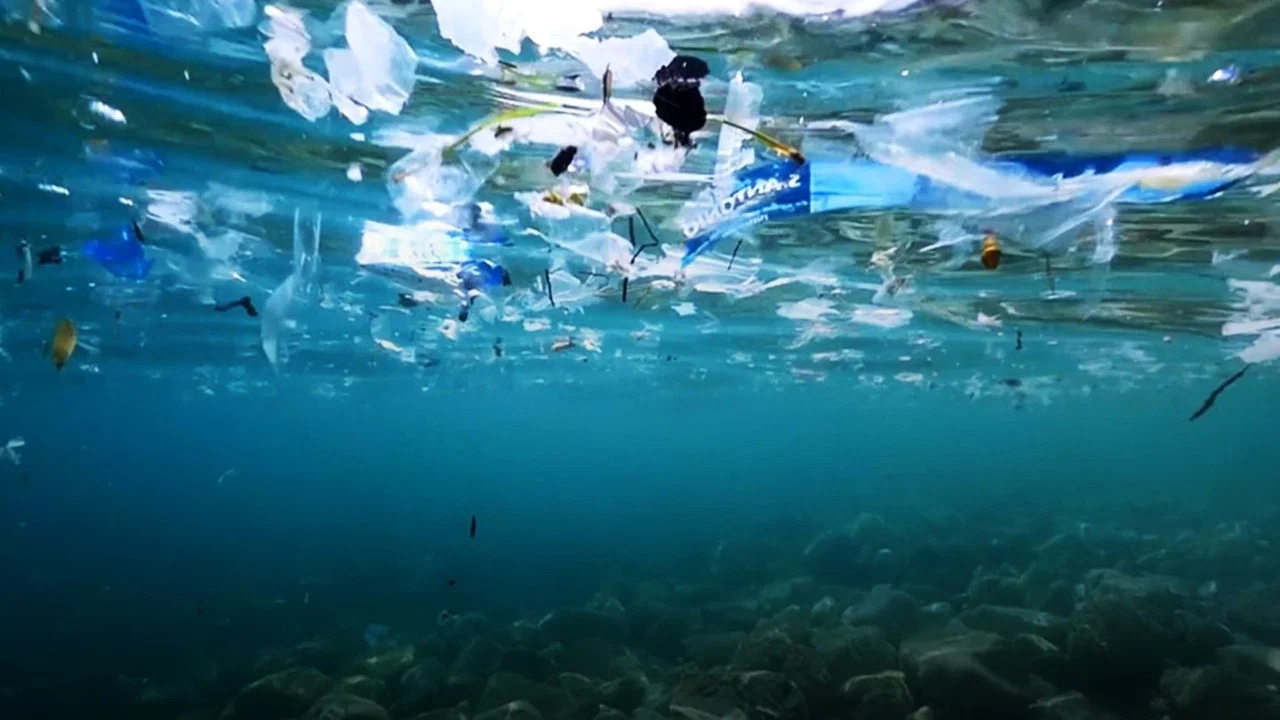 Oceans The Mystery of the Missing Plastic - 剧照