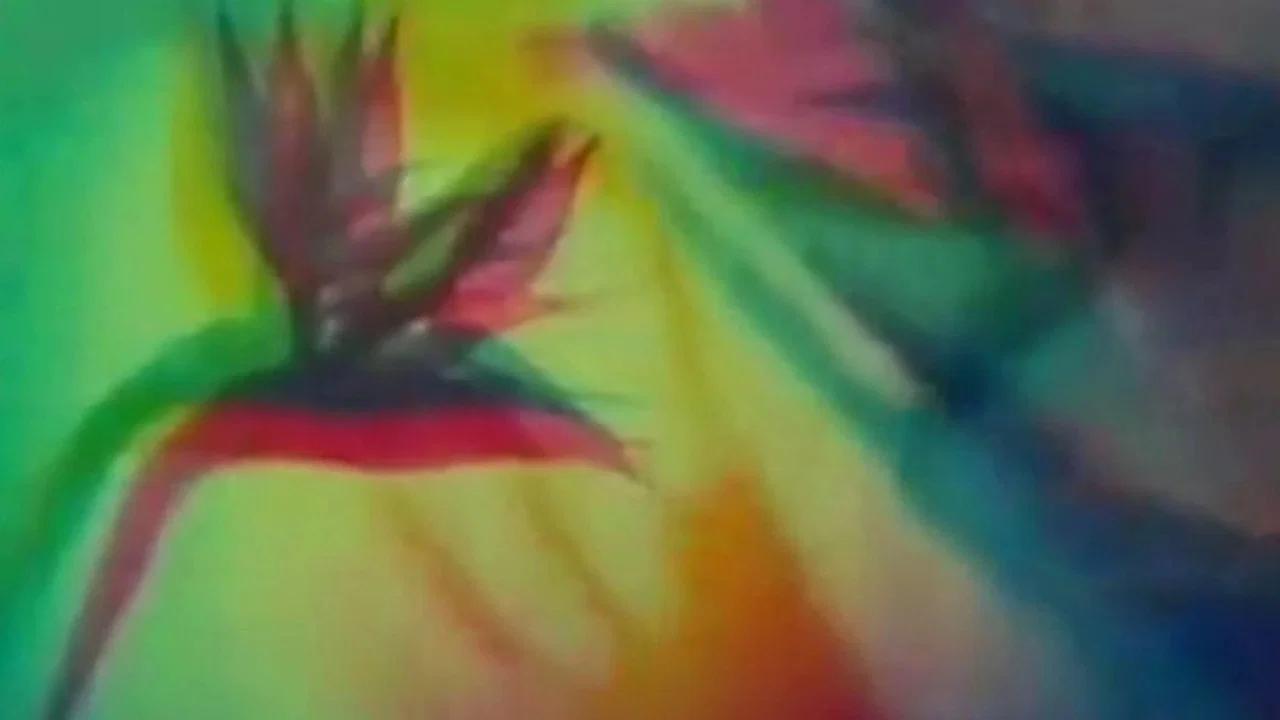 The Psychedelic Experience - 剧照