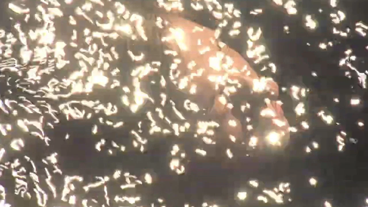Made of Air - 剧照