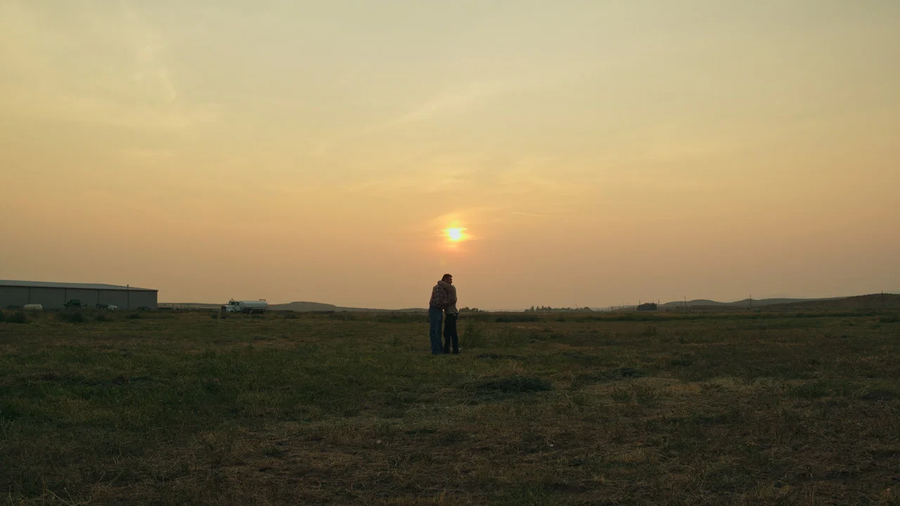 The Summer Field - 剧照