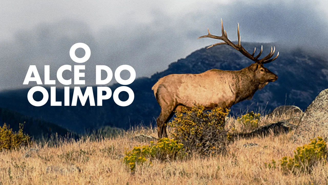 The Olympic Elk - 剧照