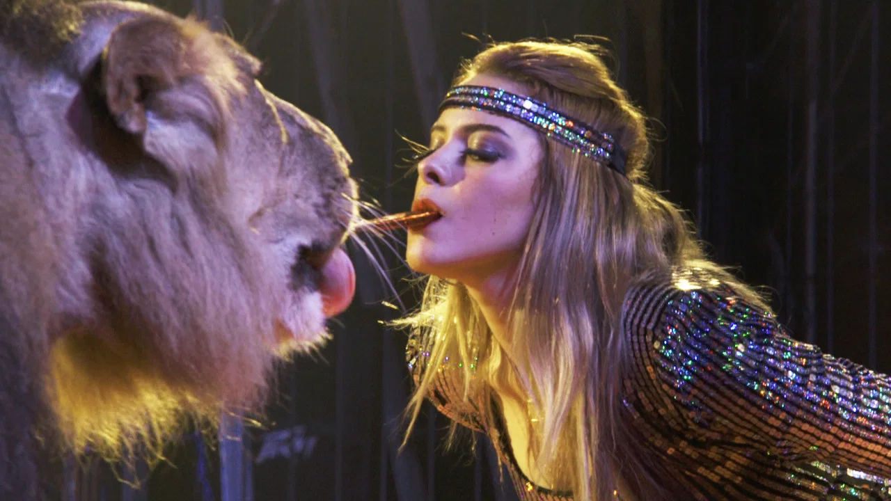 Wild Women: Gentle Beasts - 剧照