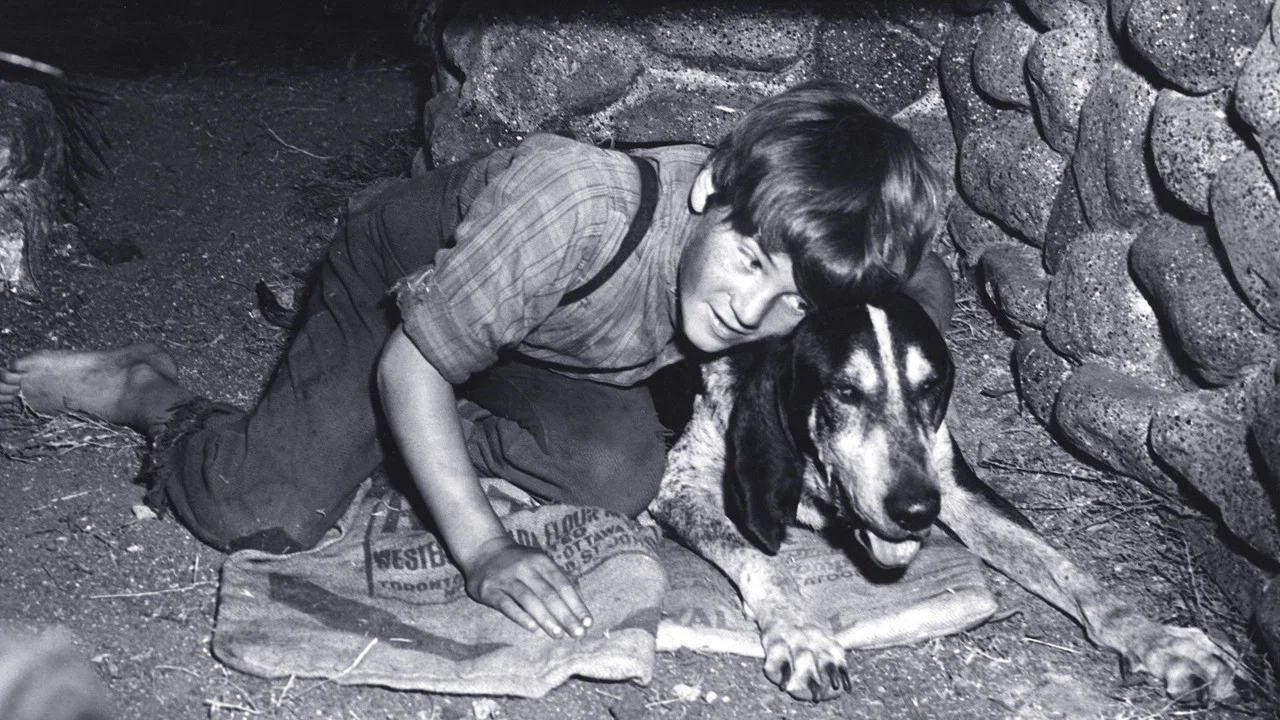 A Boy and His Dog - 剧照