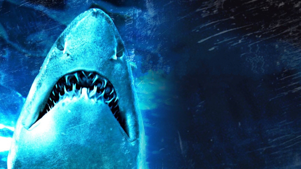 Dam Sharks! - 剧照