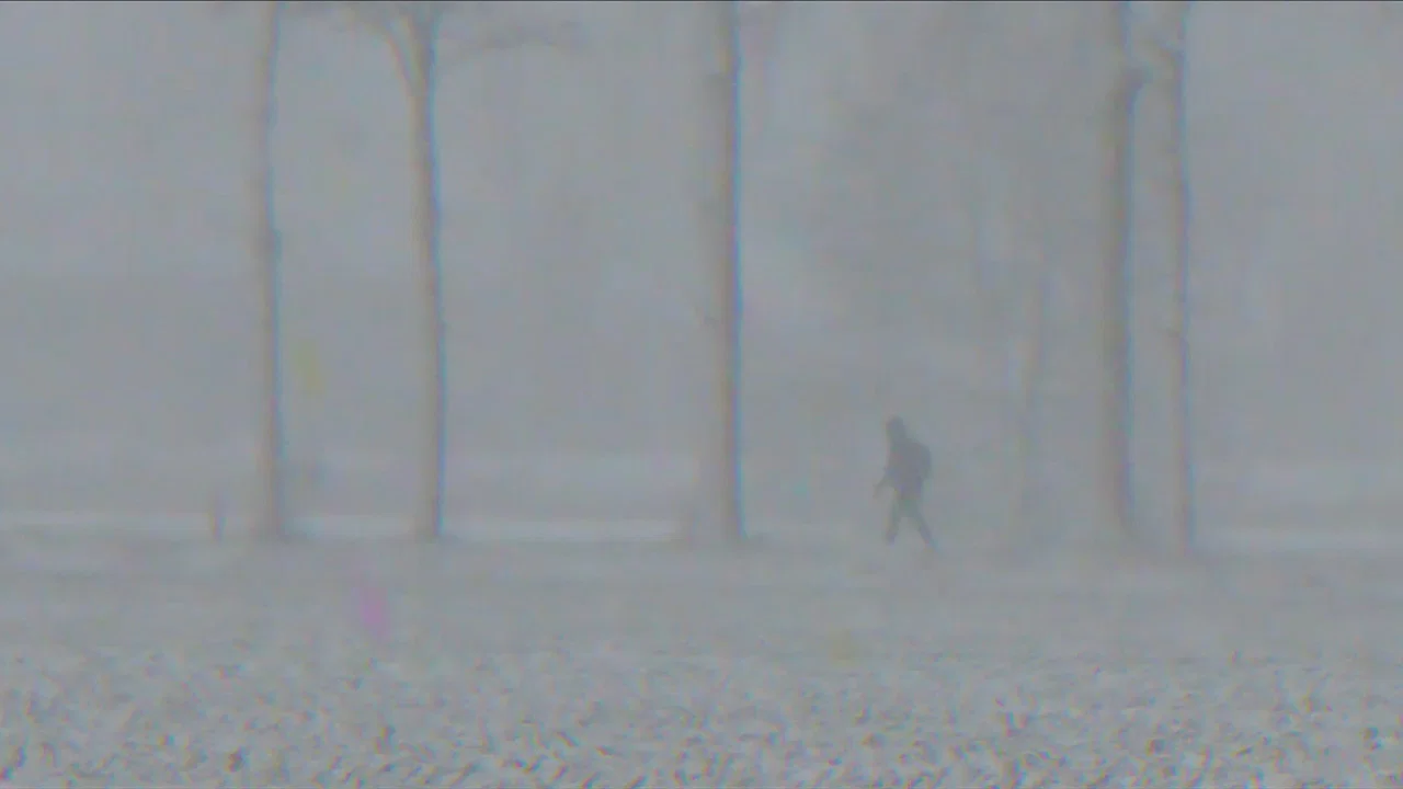 Midwinter Hue - 剧照