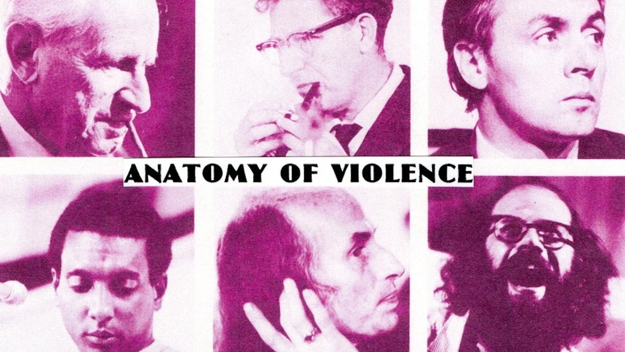 Anatomy of Violence - 剧照
