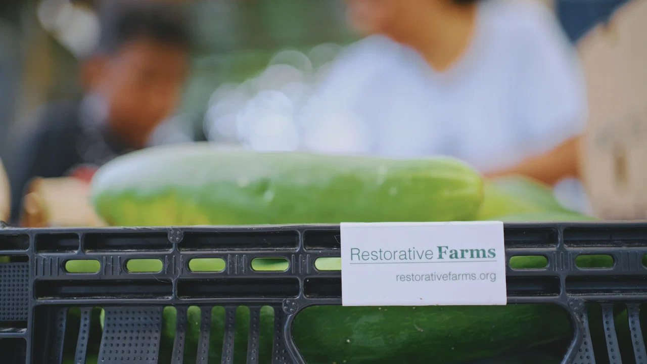 Grow a Better Dallas - 剧照