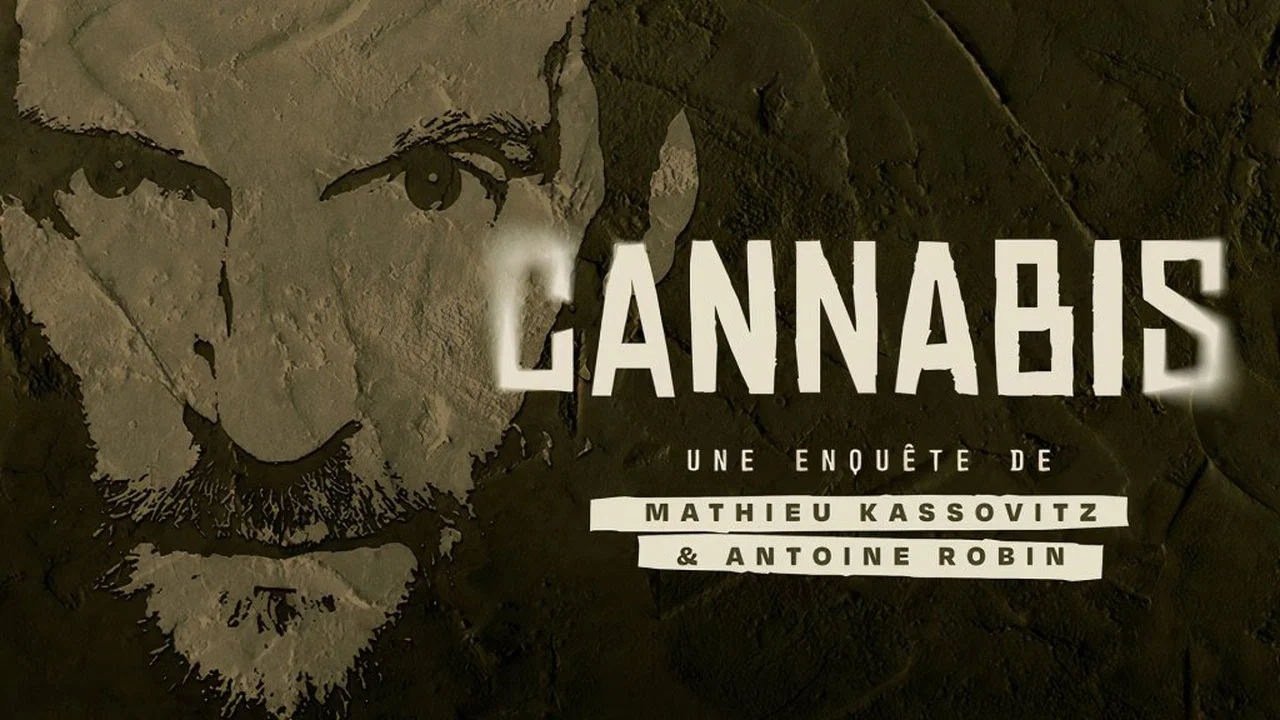 Cannabis : Une enqu&ecirc;te de Mathieu Kassovitz et Antoine Robin - 剧照