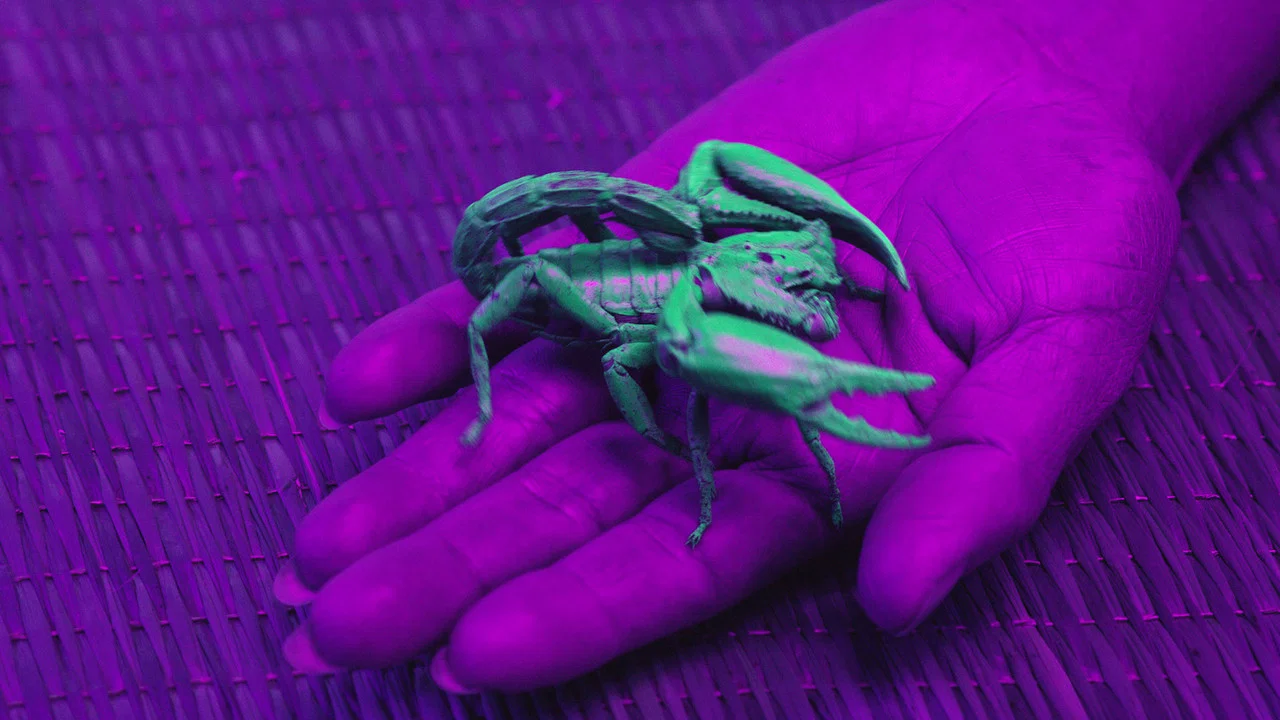 Ultraviolet - 剧照