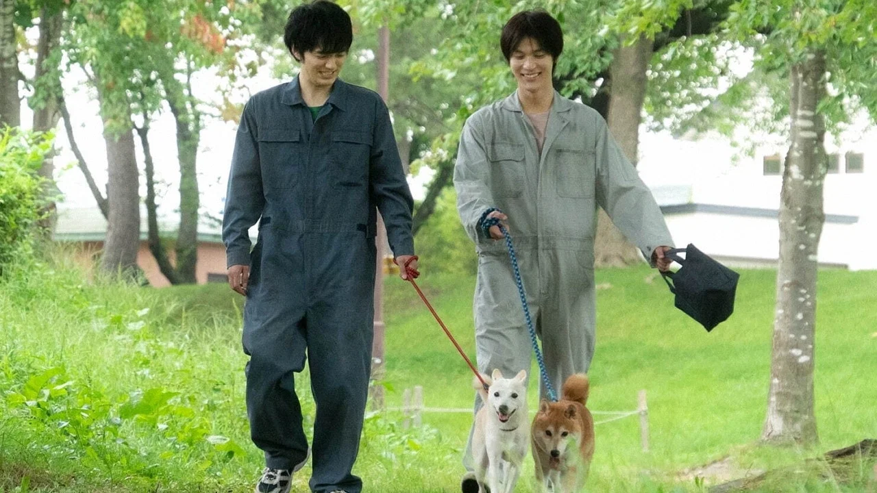 犬部！ - 剧照