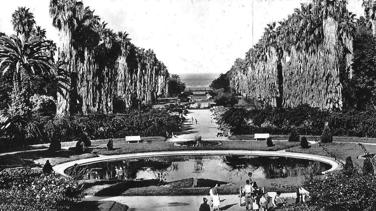 Alger Et Ses Environs - 剧照