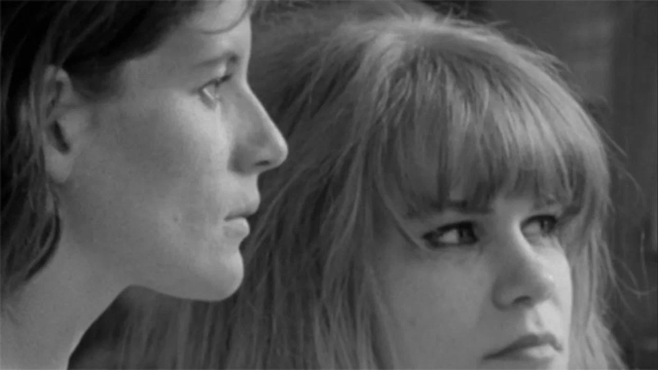 Notes for a Film About Donna & Gail - 剧照