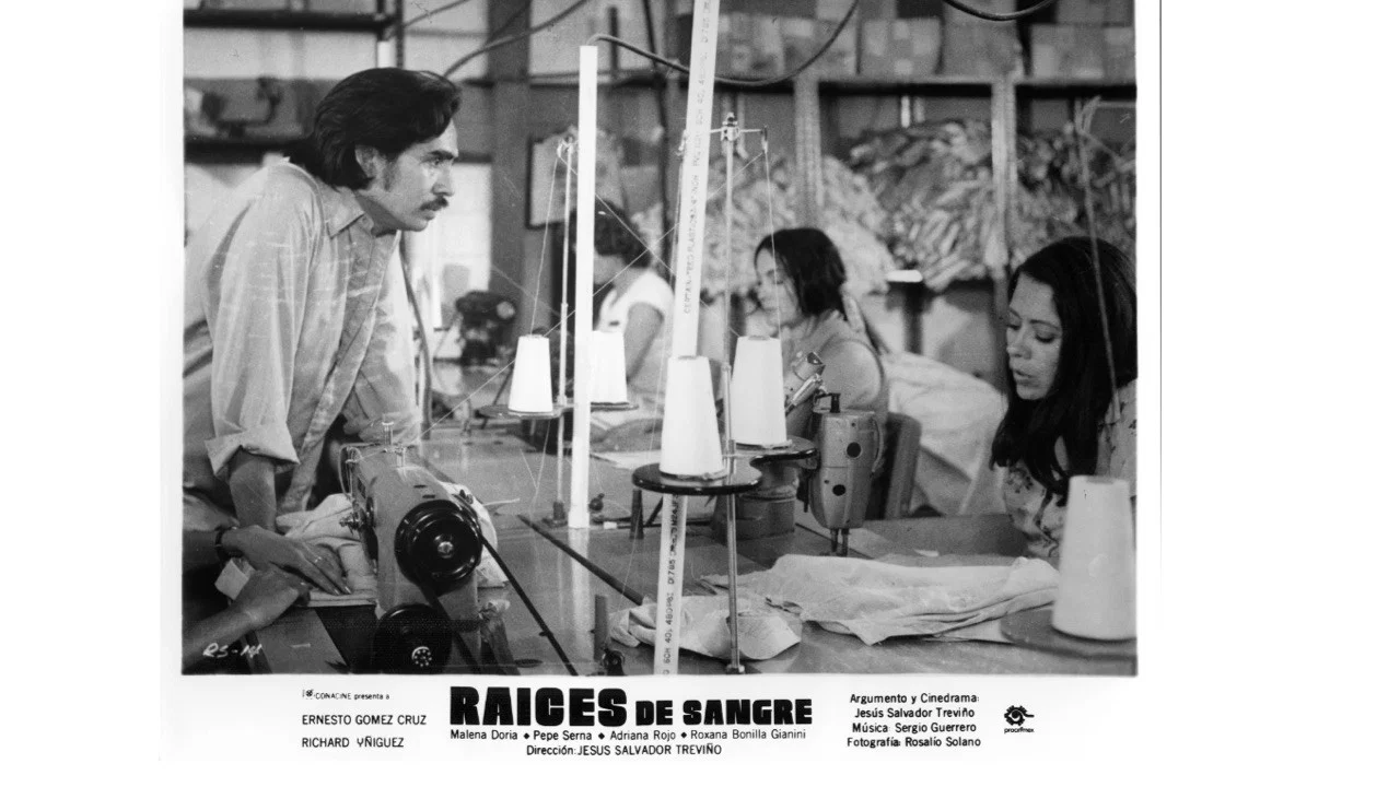 Ra&iacute;ces de sangre - 剧照