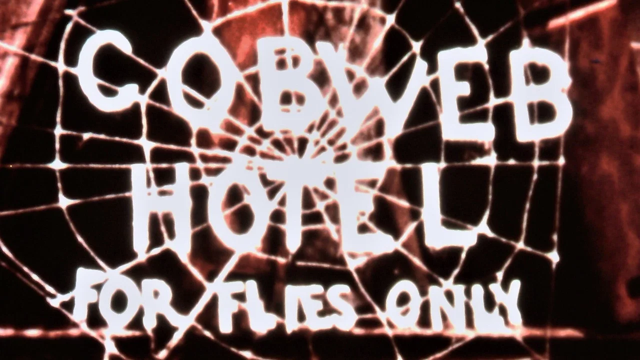 The Cobweb Hotel - 剧照