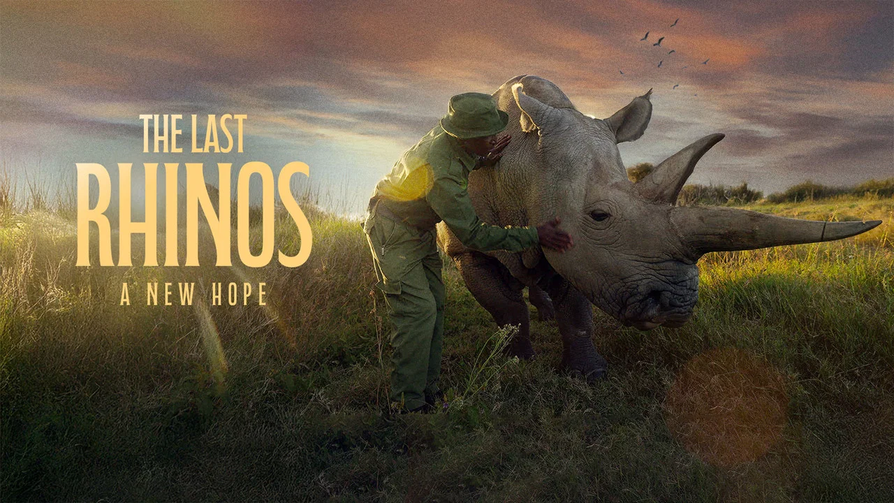 The Last Rhinos: A New Hope - 剧照