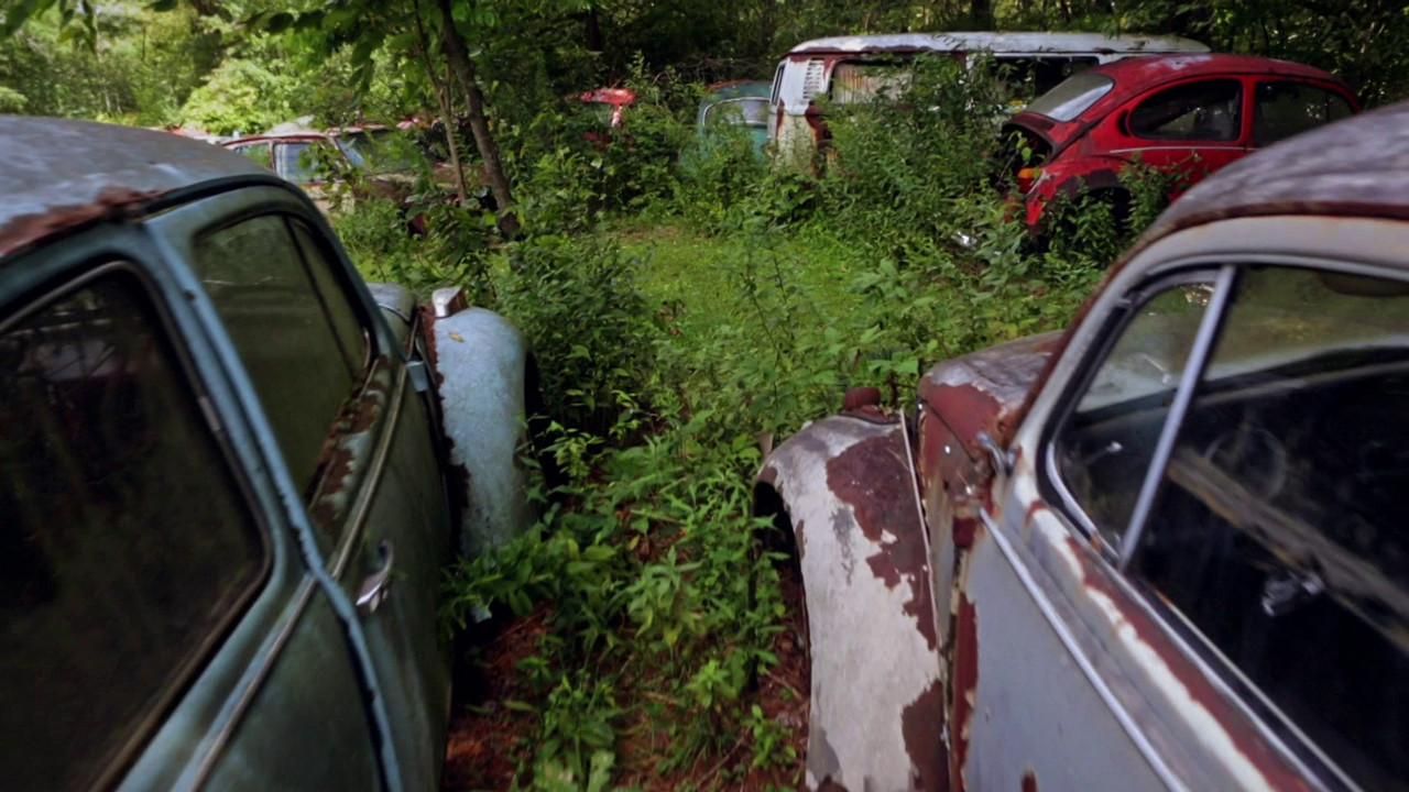 The Bug: Life and Times of the People's Car - 剧照